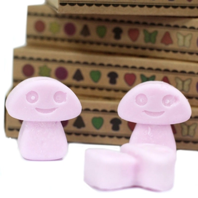 Box of 6 Wax Melts - Ylang Ylang Box of 6 Wax Melts - Ylang Ylang