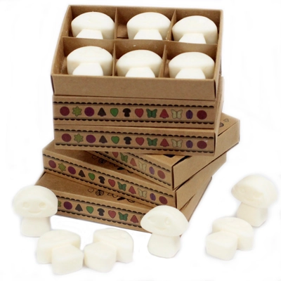 Box of 6 Wax Melts - White Musk Box of 6 Wax Melts - White Musk