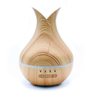 Palermo Atomiser - USB ..