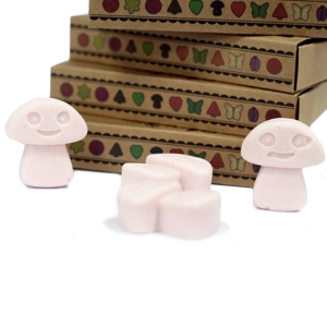 Box of 6 Wax Melts - Dark Sa..