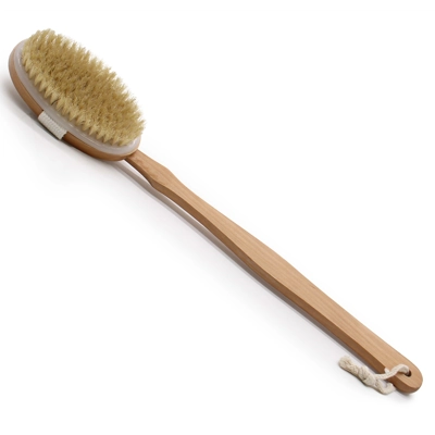 Long Handle Body Brush Long Handle Body Brush