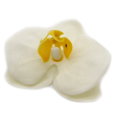 10x Craft Soap Flower - Paeonia - Cream 10x Craft Soap Flower - Paeonia - Cream