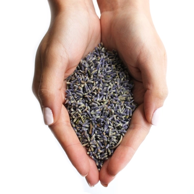 Lavender Flowers (1KG) Lavender Flowers (1KG)