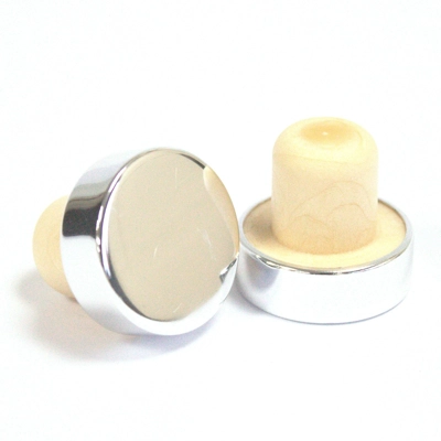 Cap for RDBot-08/09/10 2.2cm - Silver Top Cap for RDBot-08/09/10 2.2cm - Silver Top