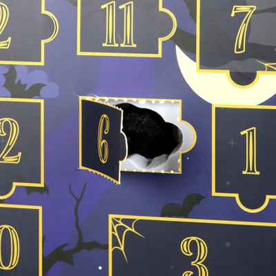 Shelf of Shadows 12-Day Halloween Advent Calendar