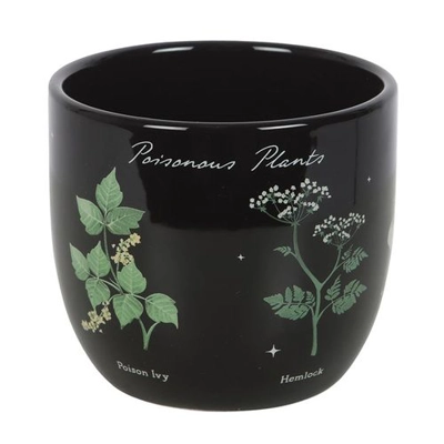 Poisonous Plants Plant Pot Poisonous Plants Plant Pot