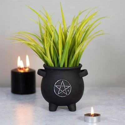 Pentagram Cauldron Plant Pot Pentagram Cauldron Plant Pot