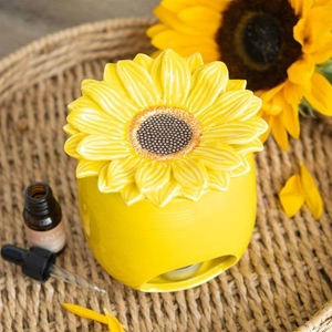 Sunflower Oil Burner an..