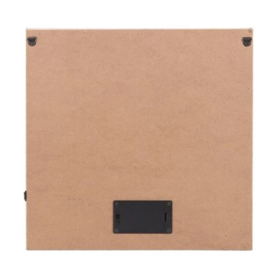 Luna Moth Light Up Canvas Plaque Luna Moth Light Up Canvas Plaque