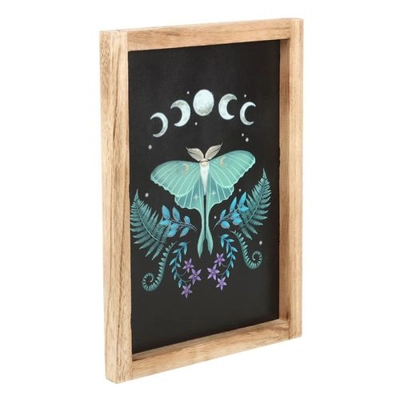 Luna Moth Wooden Framed Wall Art Luna Moth Wooden Framed Wall Art