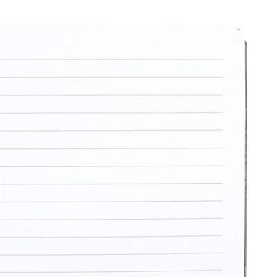 Luna Moth A5 Notebook