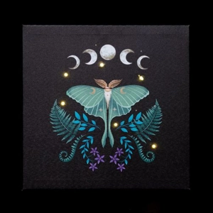 Luna Moth Light Up Canv..