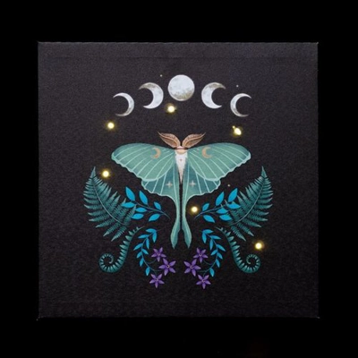 Luna Moth Light Up Canvas Plaque Luna Moth Light Up Canvas Plaque