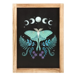Luna Moth Wooden Framed..