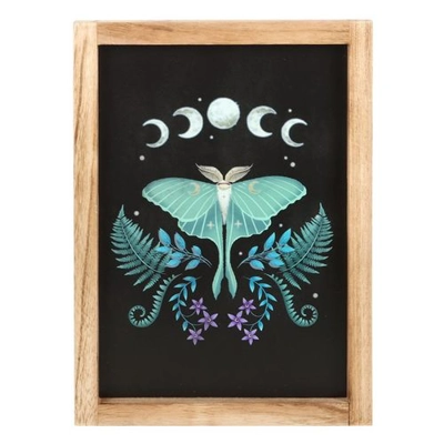 Luna Moth Wooden Framed Wall Art Luna Moth Wooden Framed Wall Art