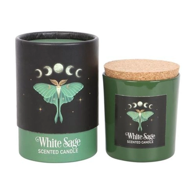 Luna Moth White Sage Candle Luna Moth White Sage Candle