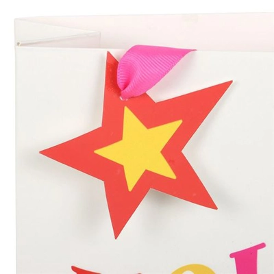 23cm Holly Jolly Gift Bag 23cm Holly Jolly Gift Bag