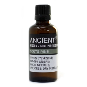 Pine Sylvestris (Scots ..