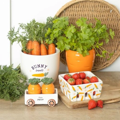 Carrot Shaped Plant Pot with Parsley Seed Balls Carrot Shaped Plant Pot with Parsley Seed Balls