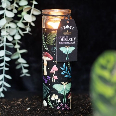 Dark Forest Wildberry Tube Candle Dark Forest Wildberry Tube Candle