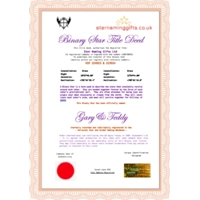 Name a Binary Star (Perfect for Couples)