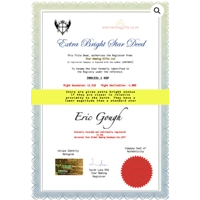 Name a Extra Bright Star