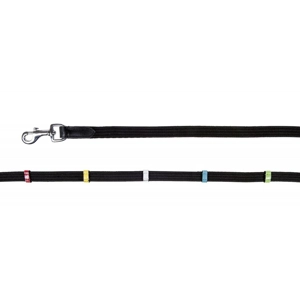Web reins with coloured loops