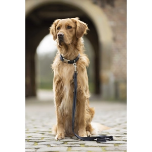 Anam Cara Training Leash