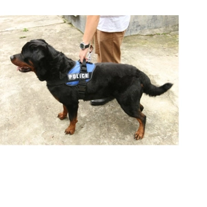 Dog Training Harness - Lovabledog