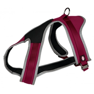 Experience Touring Harness