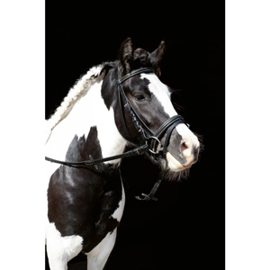 Lou Bridle