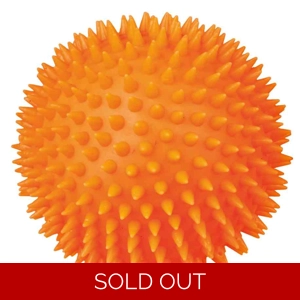 Hedgehog ball