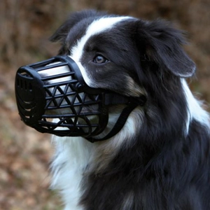 Basket Muzzle