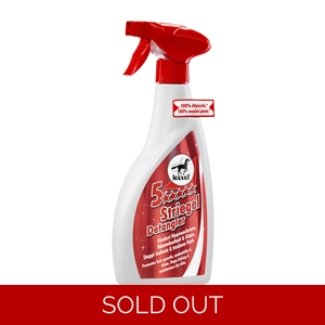 5 Star Detangler - Leovet