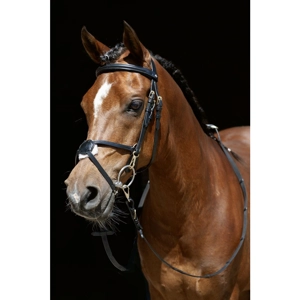 Mexican Bridle