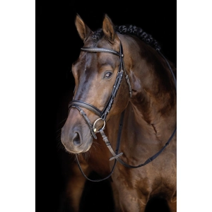 Crystal Bridle