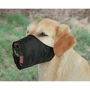 Muzzle