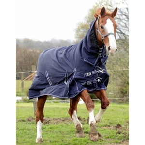 Arizona Full Neck Turnout Rug