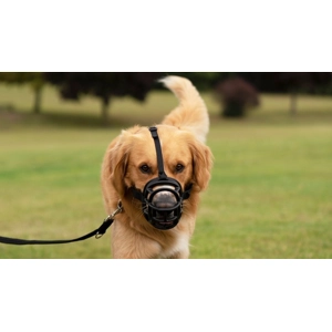 Baskerville Ultra Muzzle