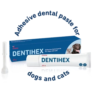 Dentihex