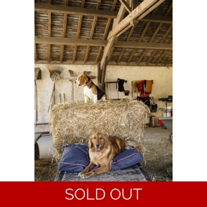 Diego & Luna Matelas Pet Bed