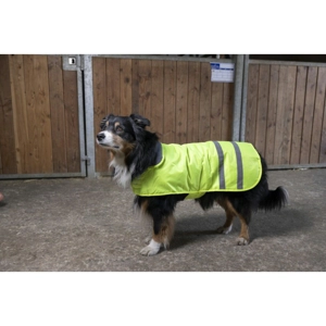 DIEGO & LOUNA Visibilité dog jacket