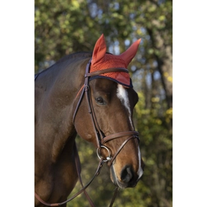 New Challenge Fly Veil