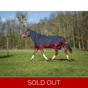 Tyrex 1200D Combo Turnout Rug