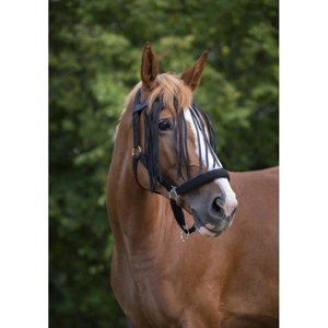 Fly Fringe Browband