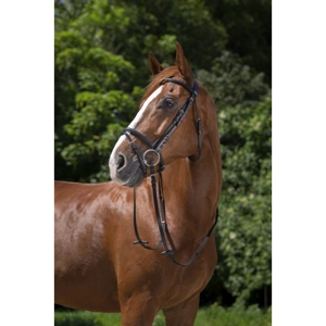 Pony Flash Bridle