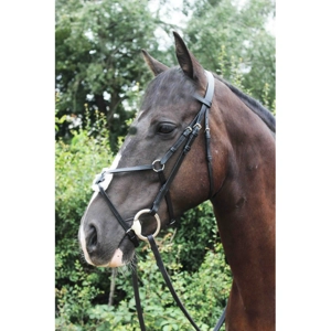 Classic Mexican Grackle Bridle