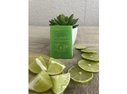 Jireh Lemon Sherbet Soap