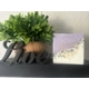 Lavanda Dreams Soap Lavanda Dreams Soap