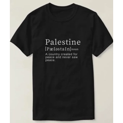 Palestine Defined t-shirt
